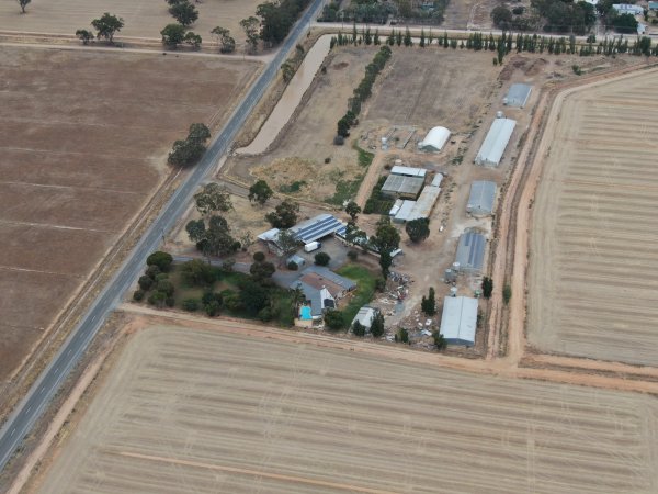 Drone flyover of turkey farm and abattoir