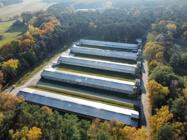 Drone fly-over egg farms Germany