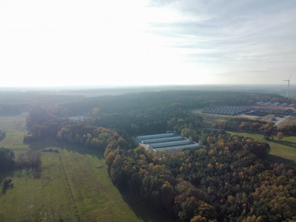 Drone fly-over egg farms Germany