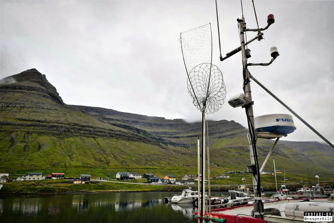 The annual hunt on juvenile fulmars, The Faroe Islands, August 2020.