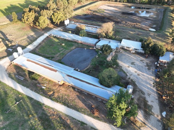 Drone flyover of piggery