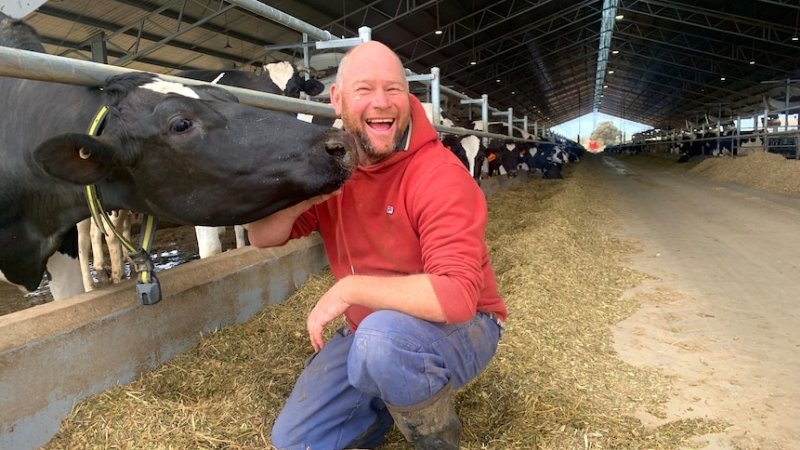 Farmer poses in intensive dairy shed