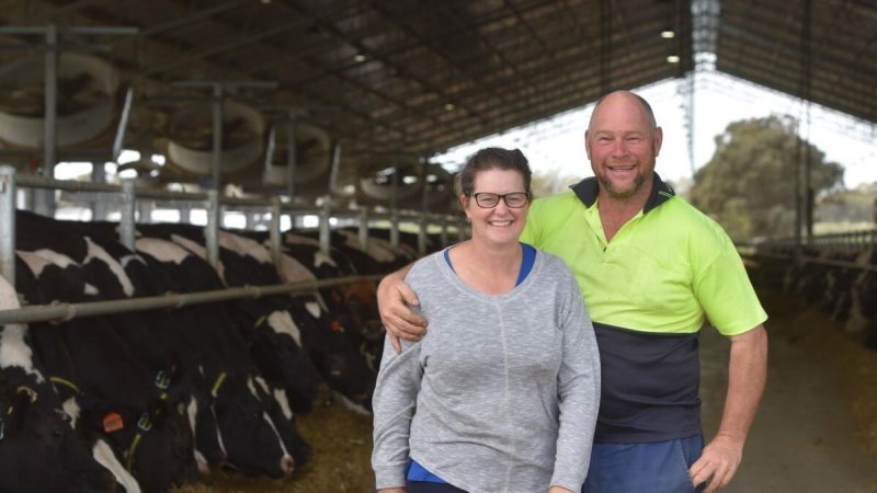 Farmer poses with wife in intensive dairy shed
