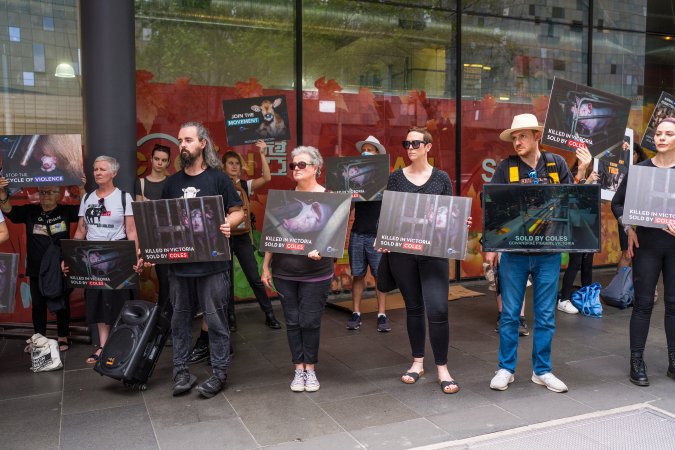 Activists protest the widespread use of cages for pigs