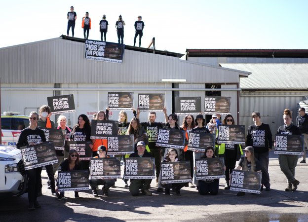 Activists rally outside Benalla slaughterhouse
