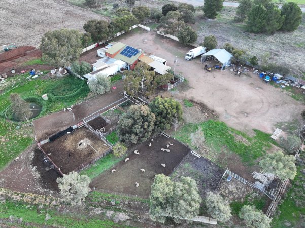 Drone flyover of slaughterhouse