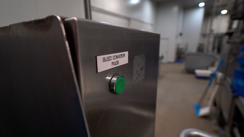 Button to operate the conveyor where pigs bleed out after being stuck