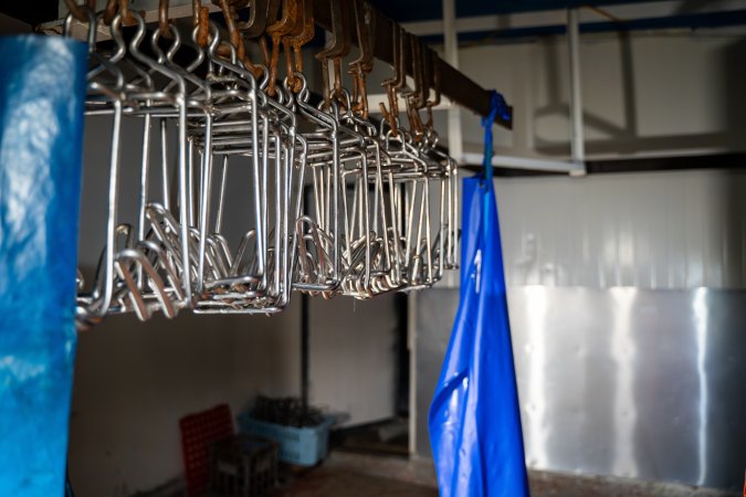 Shackles hanging in rabbit slaughterhouse