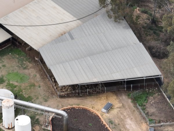 Drone flyover of slaughterhouse