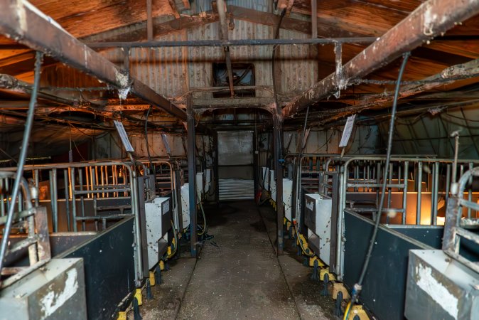 A farrowing shed