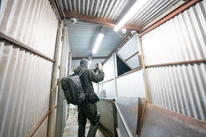 Investigator Films Inside Slaughterhouse