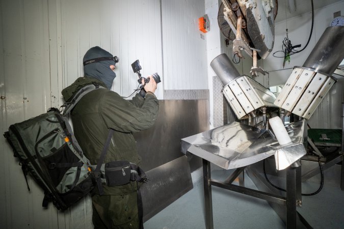 Investigator Films Inside Slaughterhouse