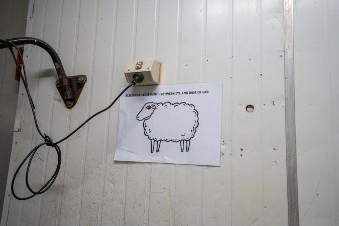 Signs and Instructions At Slaughterhouse