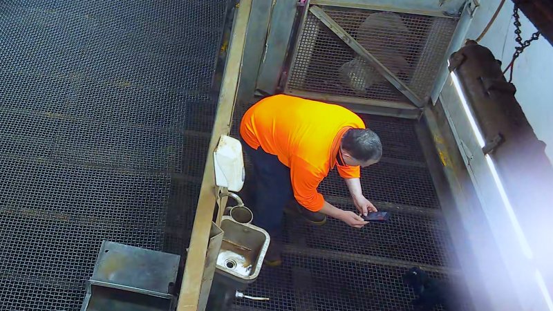 Worker photographs baby goat in kill pen