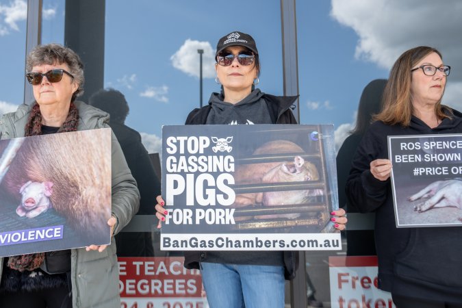 Protesters rallying outside Ros Spence MP's electorate office in Craigieburn