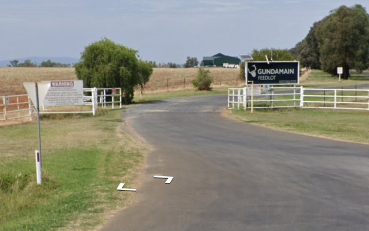 Gumdamain Feedlot