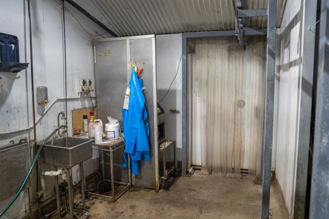 Aprons and knives hanging in the kill room