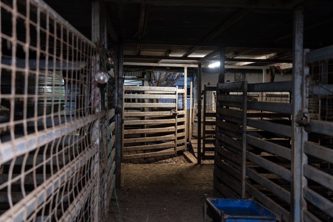 A view of the holding pens