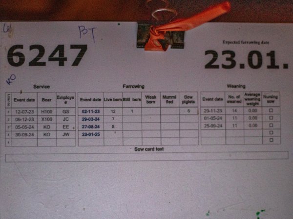 Farrowing chart