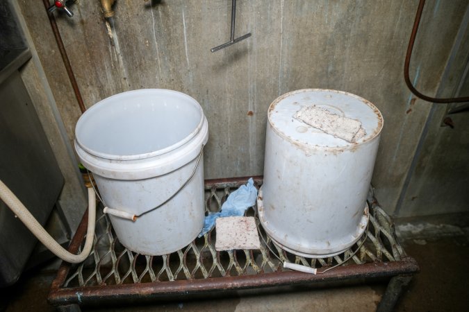 Tubs left inside slaughterhouse ill room