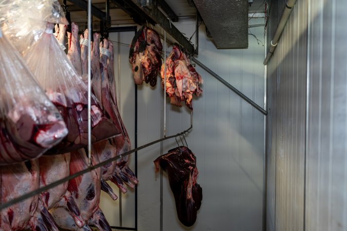 Body parts hanging in the chiller room at Millmerran Meats slaughterhouse