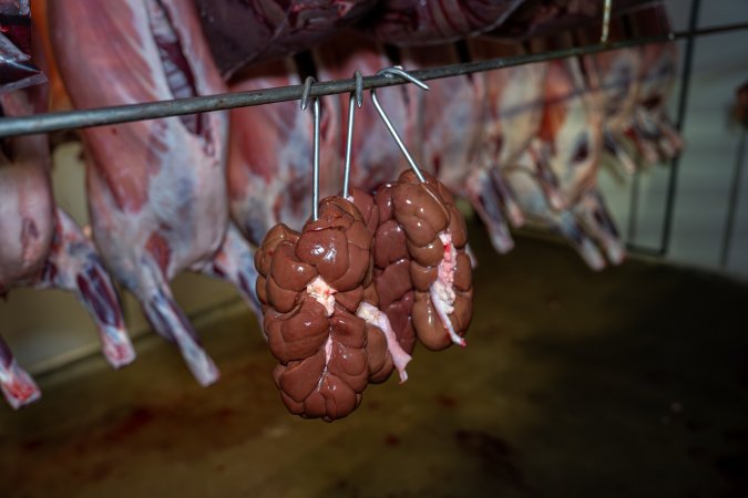 Body parts hanging in the chiller room at Millmerran Meats slaughterhouse