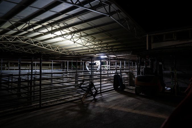 Exterior shot of Millmerran Meats' holding pens, taken on approach to the slaughterhouse.