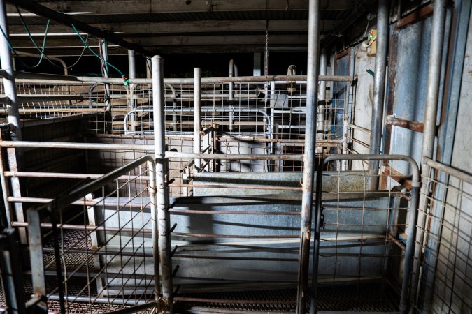 Empty shot of the holding pen and race pigs are led to at Millmerran Meats slaughterhouse. The sliding door on the right side of