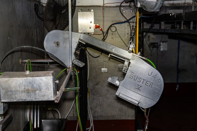 Shot of a 'Jarvis Buster V', an electric-powered saw used to process cows after they have been slaughtered