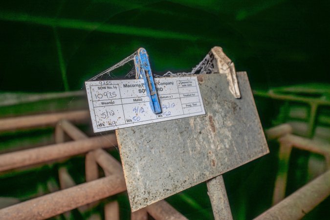 Sow stall paperwork