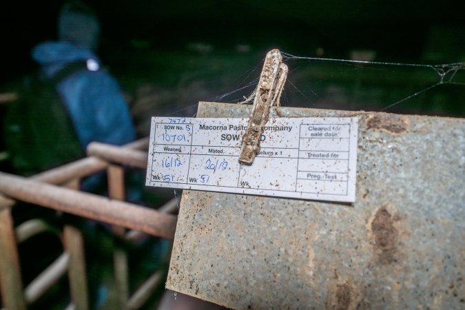 Sow stall paperwork