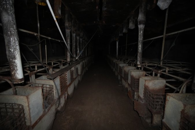 Empty and abandoned sow stalls