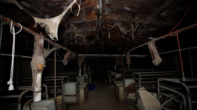 Cobwebs on the ceiling in almost abandoned piggery