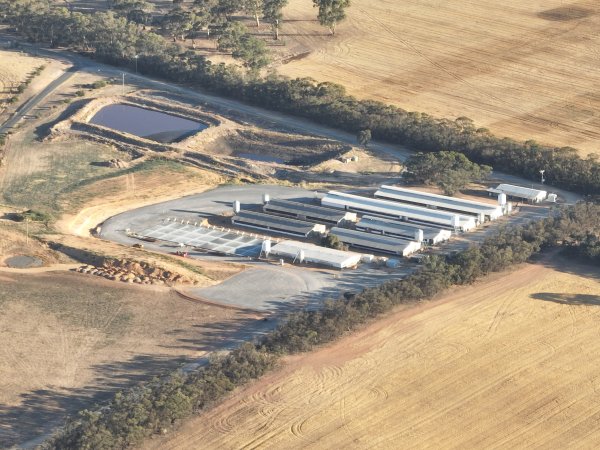 Drone flyover of piggery