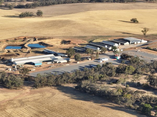 Drone flyover of piggery