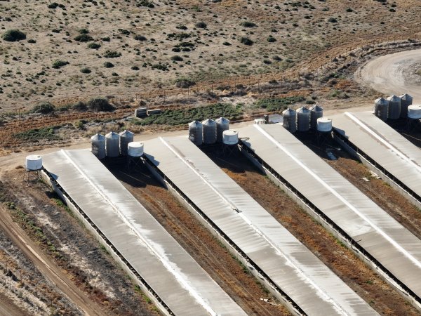 Drone flyover of piggery