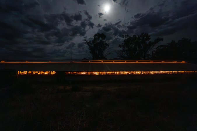 Farrowing shed from outside at night