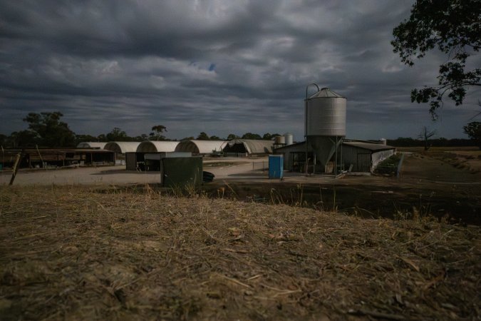 Looking over piggery sheds from hill