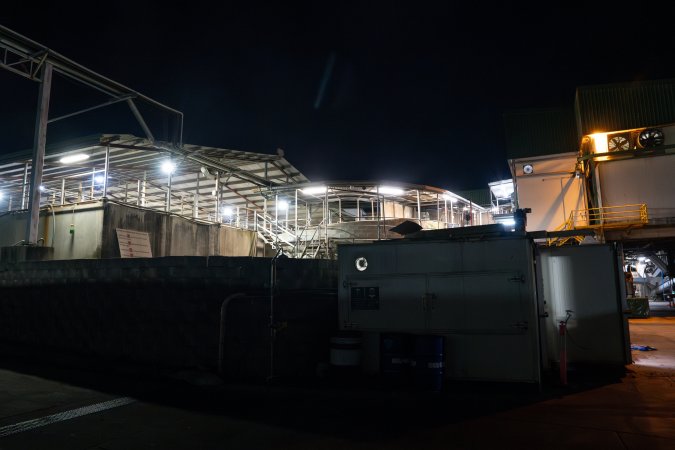 Covered holding pens and race at slaughterhouse