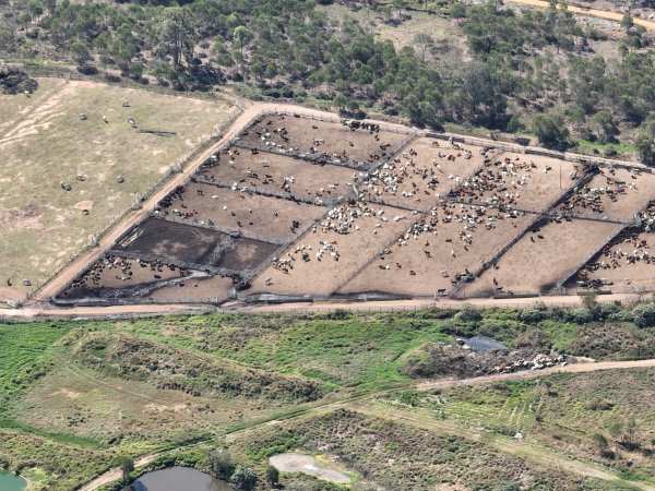 Drone flyover of slaughterhouse