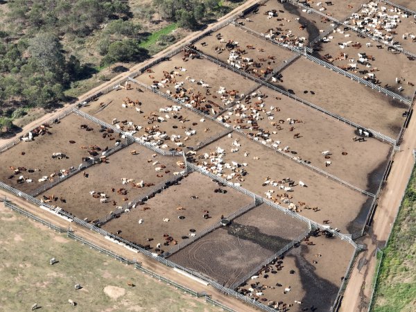 Drone flyover of slaughterhouse