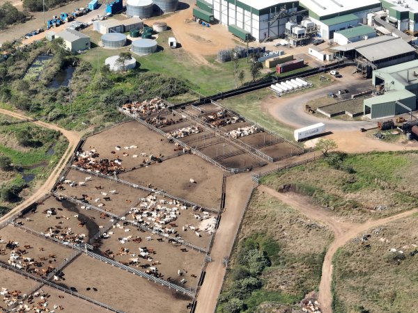 Drone flyover of slaughterhouse