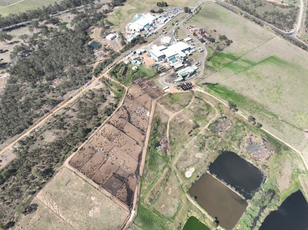 Drone flyover of slaughterhouse