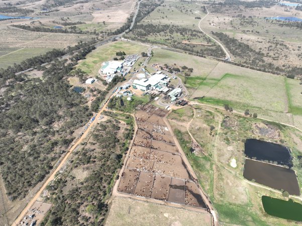 Drone flyover of slaughterhouse