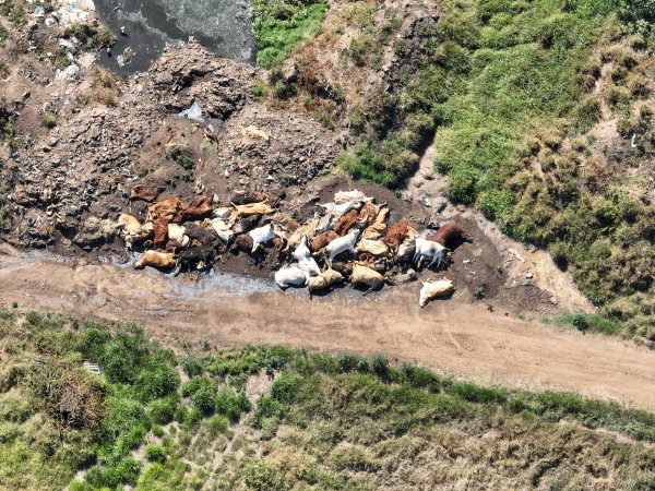 Drone flyover of slaughterhouse