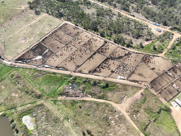 Drone flyover of slaughterhouse