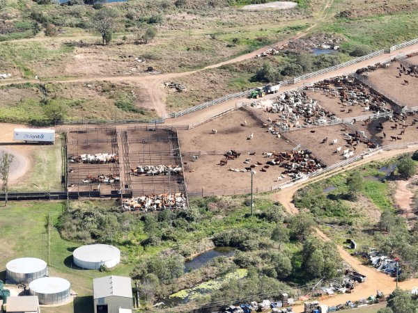 Drone flyover of slaughterhouse