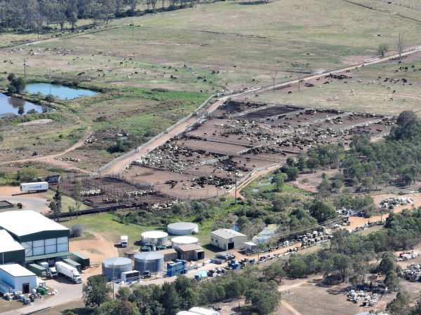 Drone flyover of slaughterhouse