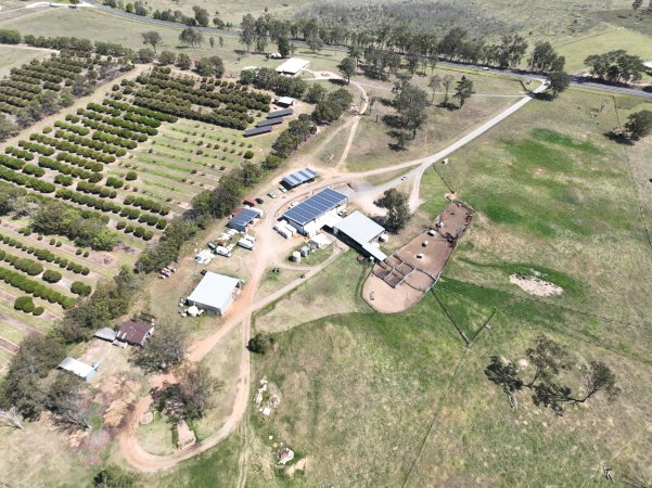 Drone flyover of slaughterhouse