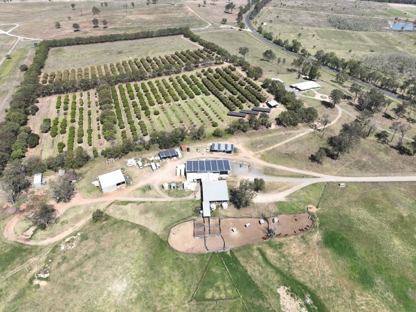 Drone flyover of slaughterhouse